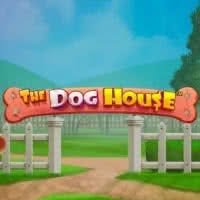 The Dog House Megaways