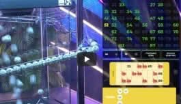 Разцъквам „Live Bingo Earth Room“ от хола